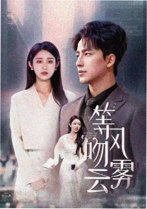 回声档案剧集封面